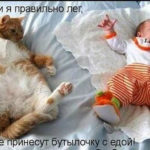 кот и ребенок