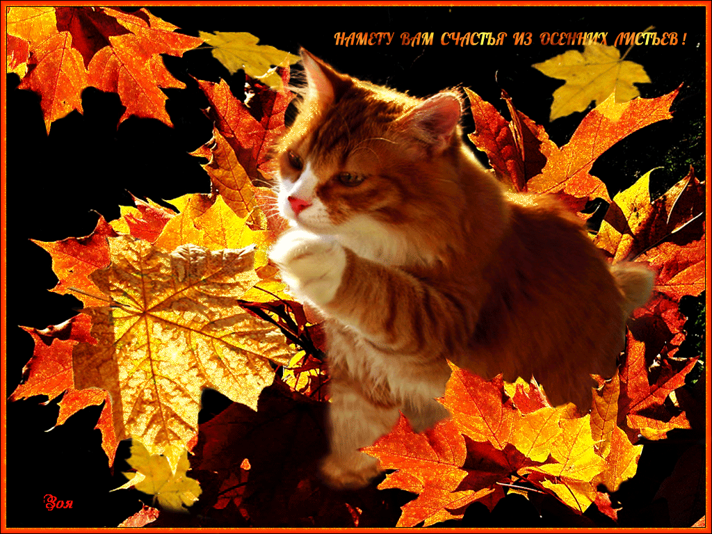 С первым вечером октября. Открытки осень. Осенние гифы. Осенний привет котики. Анимированные открытки осень.
