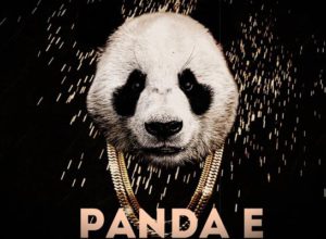 CYGO - Panda E (2018) Текст песни